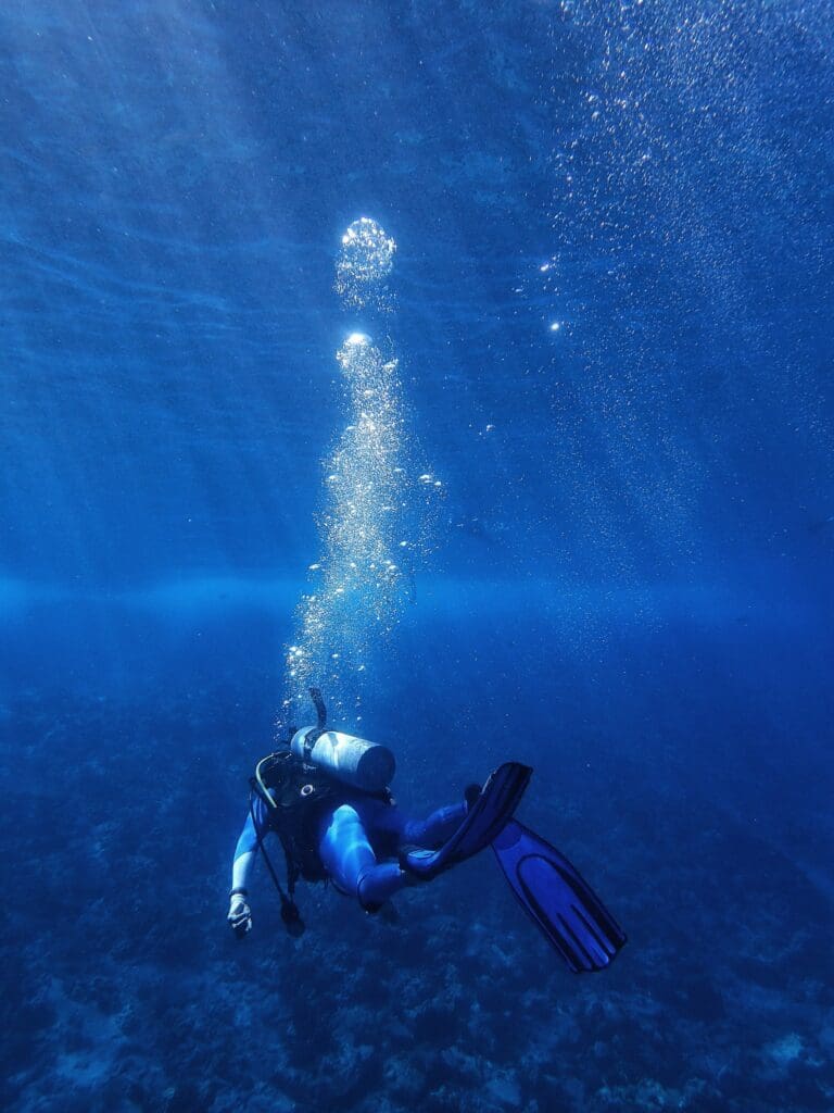 Scuba diver exploring reef waters during the best diving in florida keys near Key Largo